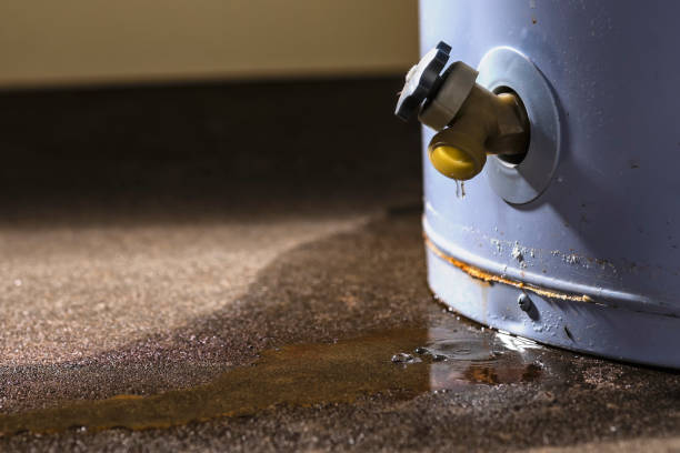 Best Flood damage cleanup  in Waterville, MN