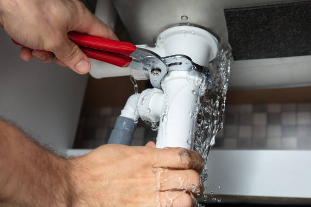Best Mold removal after water damage  in Waterville, MN