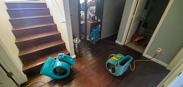 Best 24/7 water damage repair  in Waterville, MN