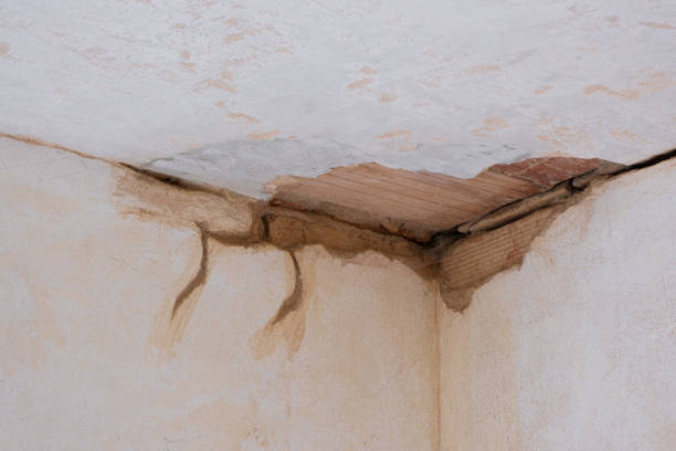 Best 24-hour water damage restoration  in Waterville, MN