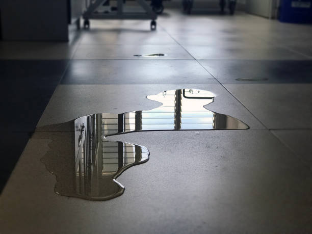 Best Commercial water damage restoration  in Waterville, MN