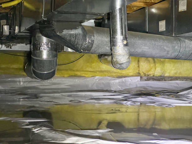 Best Ceiling water damage repair  in Waterville, MN