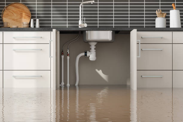 Water damage restoration mold remediation in MN