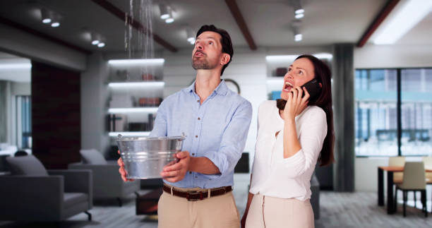 Best Water damage cleanup near me  in Waterville, MN