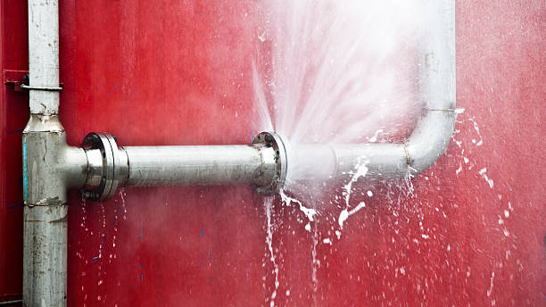 Best Local water damage restoration  in Waterville, MN